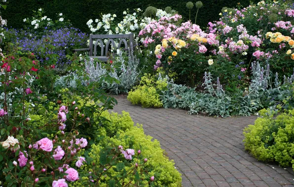Flowers, bench, garden, track, UK, Devon, Rosemoor Garden