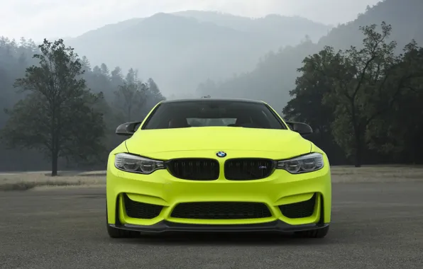 Picture BMW, Front, Yellow, Mountains, F82, Sight