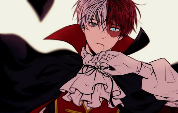 Look, guy, cloak, Boku no Hero Academy, My hero Academy, Todoroki Shoto