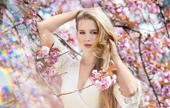 Look, girl, model, Sakura