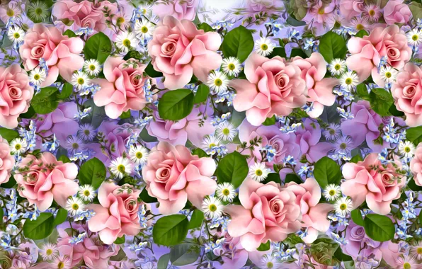 Graphics, flowers, roses