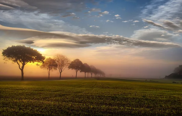 Field, the sky, sunset, nature, fog, The sun, Landscape