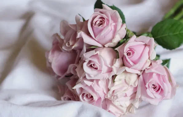 Tenderness, roses, bouquet, buds