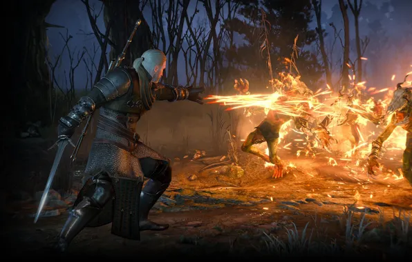 Picture fire, the Witcher, rpg, Geralt, Igny, the wild hunt, wild hunt, the witcher 3