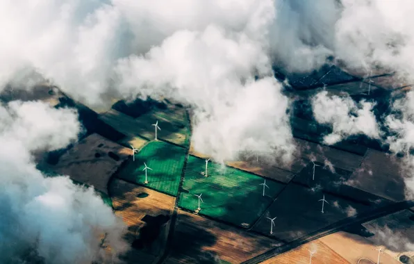 Grass, clouds, fields, height, wind turbines, composition, crops, agriculture
