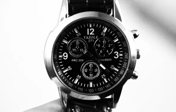 Photo, monochrome, chesy