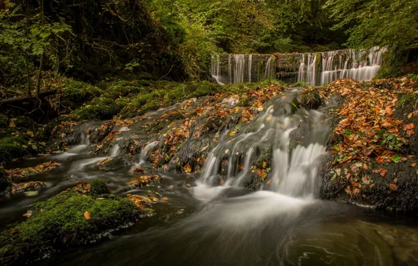 Autumn, forest, England, waterfall, cascade, England, The lake district, Lake District