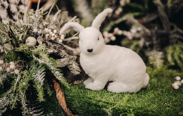 White, toy, moss, hare, rabbit, Christmas, New year, fern