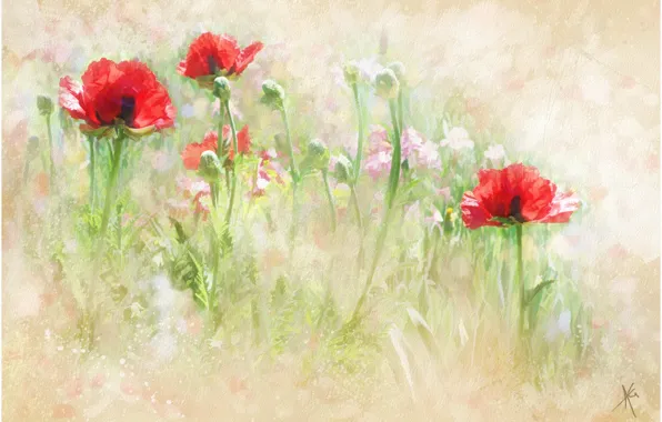 Summer, flowers, glade, graphics, Mac, Maki, picture, art