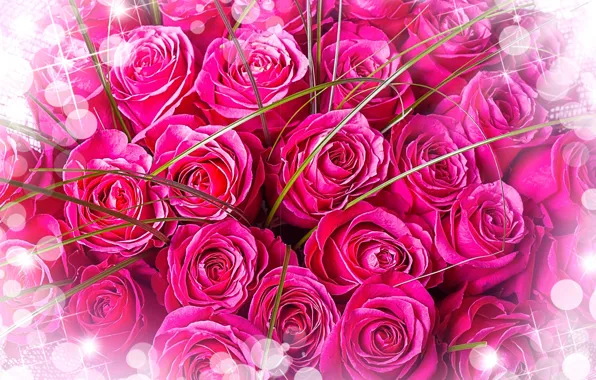 Flowers, bouquet, pink background, pink roses
