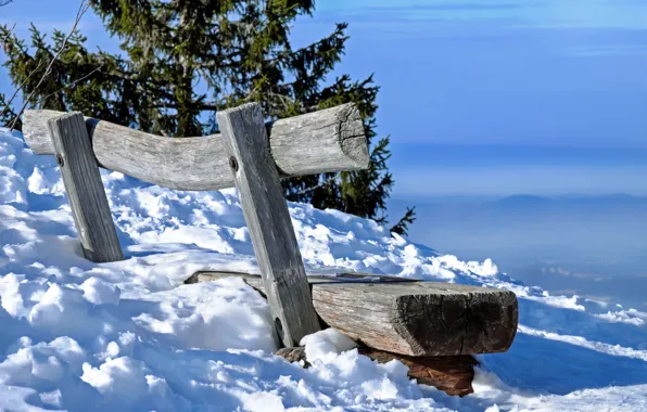 Winter, snow, spruce, bench