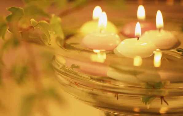 Picture water, light, heat, romance, plant, candles