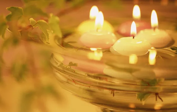 Water, light, heat, romance, plant, candles