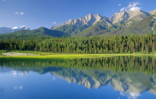 Forest, mountains, lake, Canada, national Park
