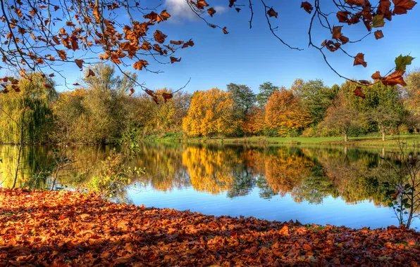 Picture autumn, the sky, leaves, trees, nature, reflection, river, Netherlands