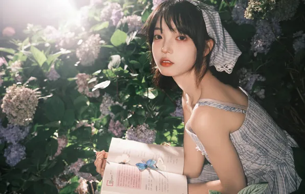 Beautiful, Asian, Model, Flowers, Woman, Cute, Pretty, Reading