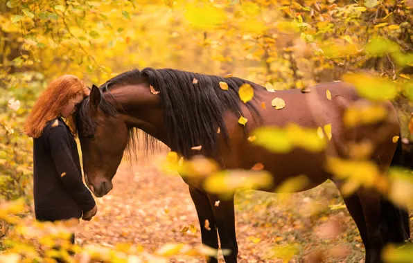 Autumn, girl, horse
