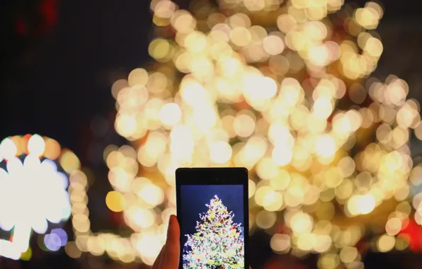 Lights, photo, holiday, tree, New Year, phone, garland, screen