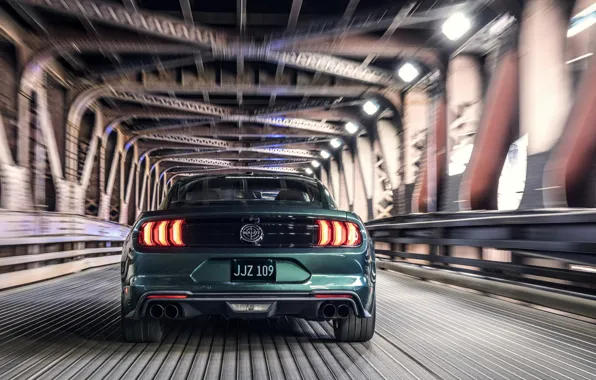 Picture movement, Ford, 2018, feed, V8, Mustang Bullitt, 5.0 L., 460 HP