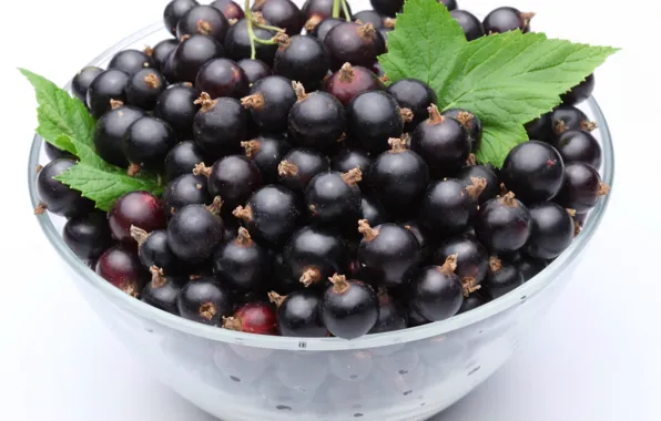 Leaves, berries, bowl, currants