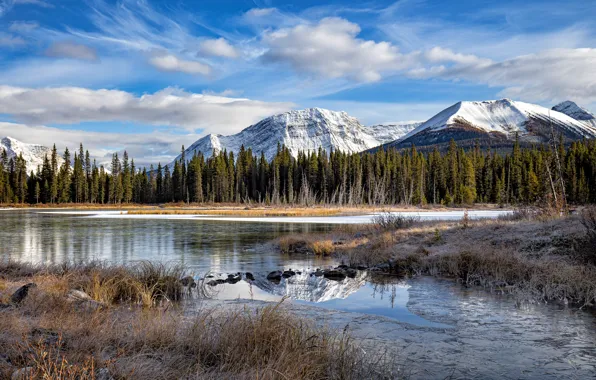 Picture autumn, forest, the sky, clouds, mountains, blue, rocks, shore