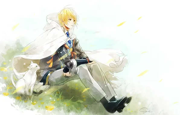 Cat, cat, nature, anime, art, guy, Touken ranbu, Dance Of Swords