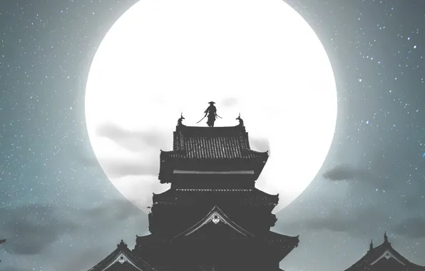 Night, The moon, Palace, Castle, Roof, Samurai, Art, Illustration