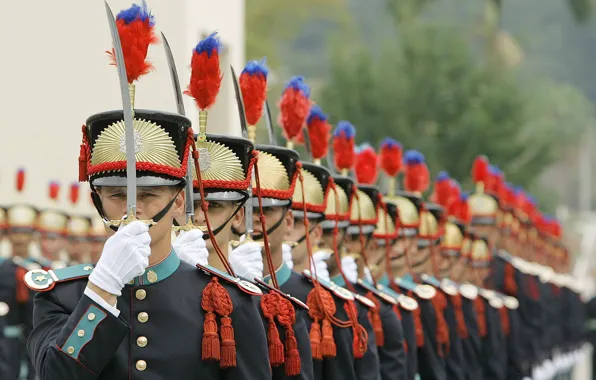 Picture Sabers, High School in Rio de Janeiro, united order, soldiers, Military Academy of the Agulhas …