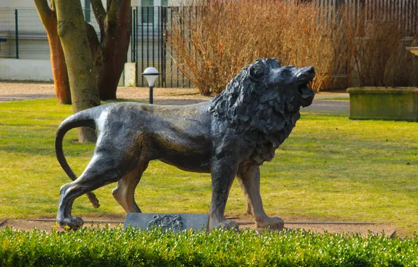 Park, lion, statua, monument