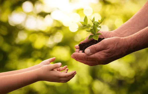 Picture Future, Hands, Two, Future, Environment, Environment, Suggest a tree sprout, Offer a tree