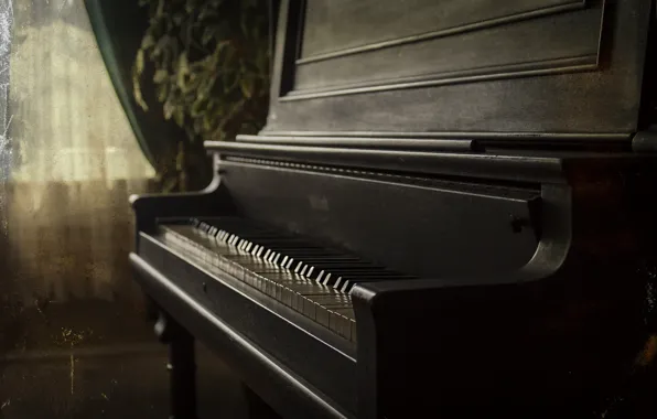 Light, retro, music, room, treatment, keys, window, piano
