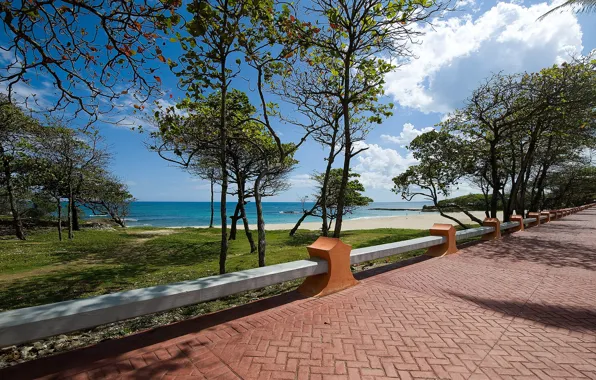 Picture road, sea, nature, the curb