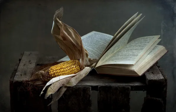 Background, corn, book