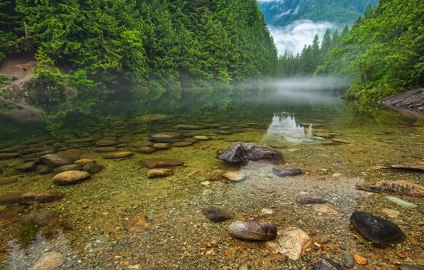 Forest, trees, mountains, fog, lake, river, stones, Canada