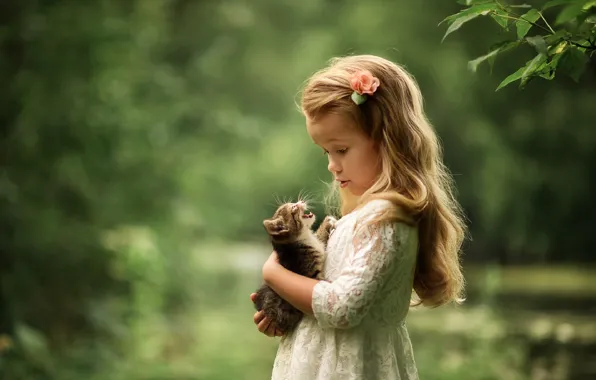 Picture cat, look, dress, girl, kitty