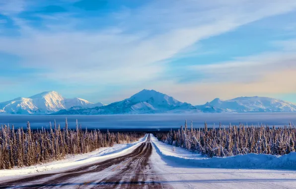 Road, forest, landscape, mountains