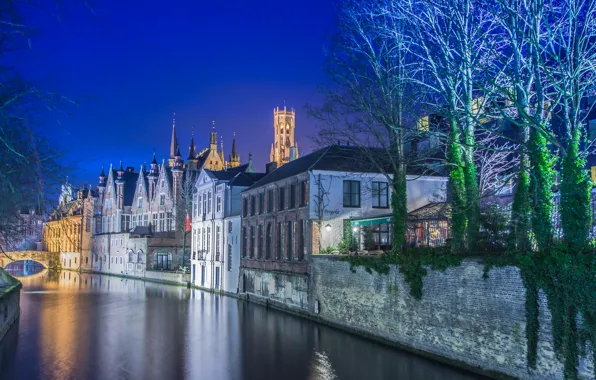 Trees, night, bridge, lights, home, channel, Belgium, Bruges