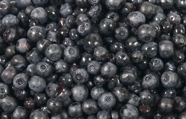 Picture blueberries, black, sweet