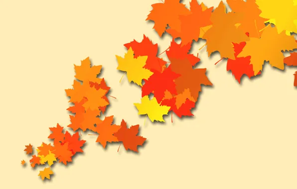 Picture autumn, leaves, color, vector, maple