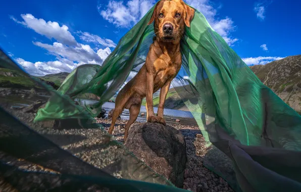 The sky, look, clouds, light, mountains, nature, pose, river