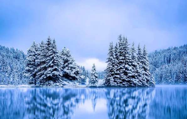 Winter, trees, Canada, Albert, Banff National Park, Two Jack Lake, the lake That Jack