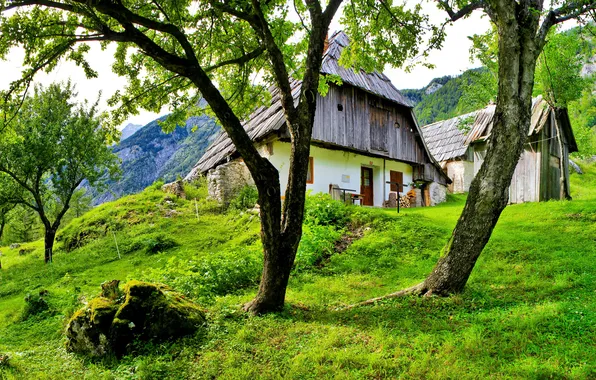The sky, grass, clouds, trees, mountains, nature, home, Slovenia