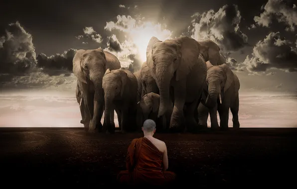Cielo, budista, elefantes