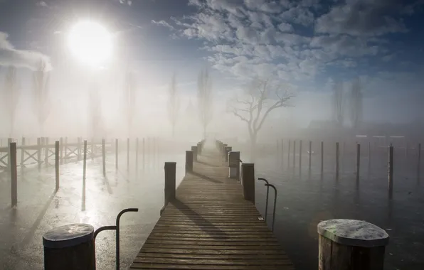 Bridge, the city, fog, river, morning