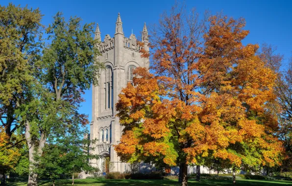 Autumn, trees, Park, tower