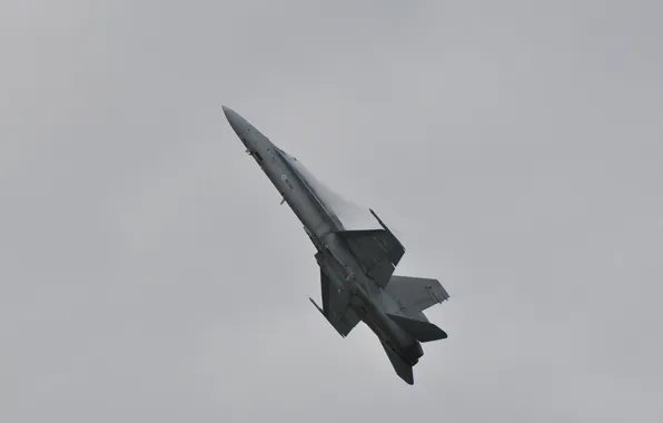 Picture jet fighter, F-18 Hornet, greek air Force, airpower