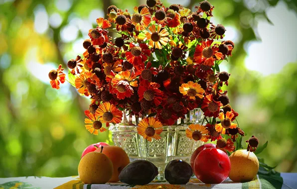 Picture autumn, bouquet, fruit, gelenium