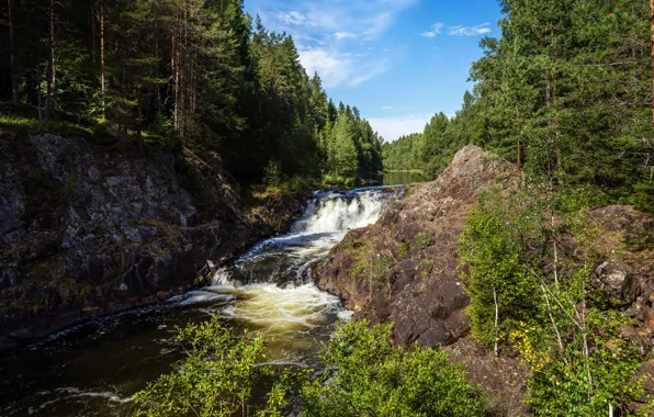 Trees, nature, rocks, stream, mountain river, dibr