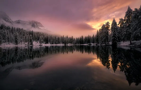 Winter, forest, snow, trees, clouds, fog, lake, reflection