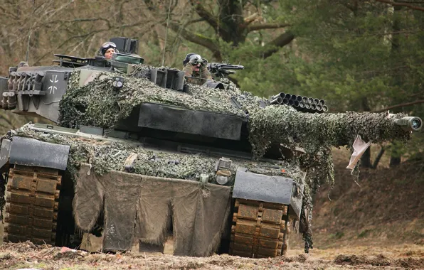 Picture forest, trees, tank, Leopard 2A6
